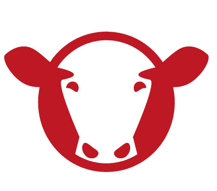 Kuhrerhof Icon Kühe