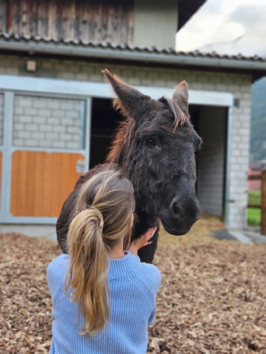 Tiergestützte Aktivitäten